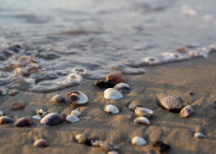 Апартаменти Choose To Spend Your With Beahost *